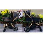 Gold Tube Black 3in1
